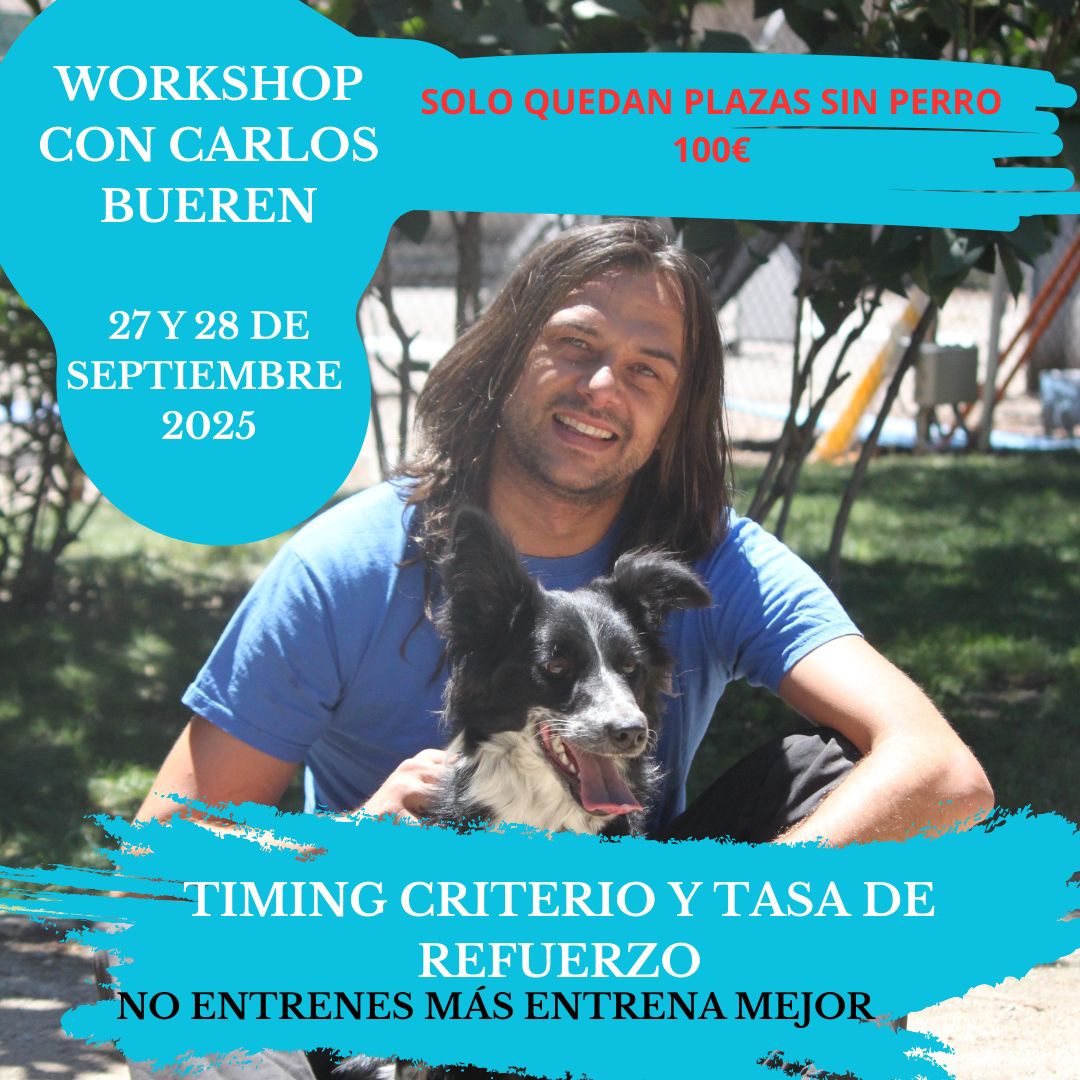 WORKSHOP                       «TIMING, CRITERIO Y TASA DE REFORZAMINETO»